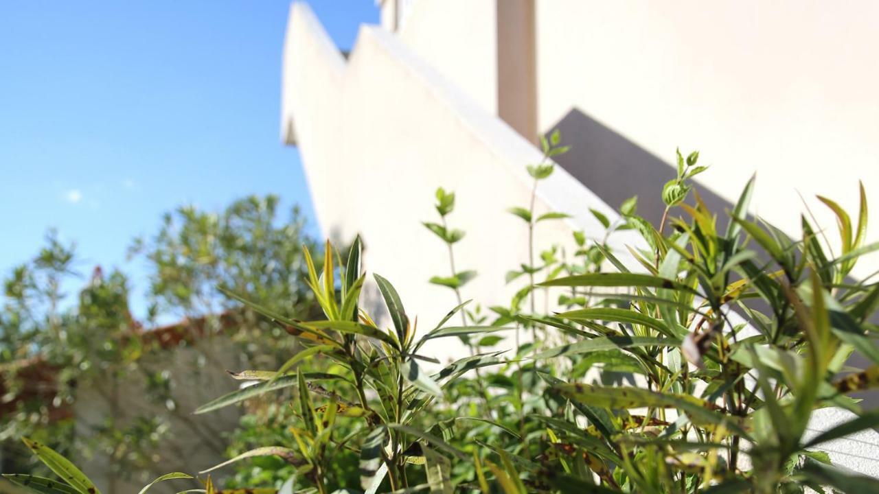 Residence Les Muriers Allegre Les Fumades Exterior photo